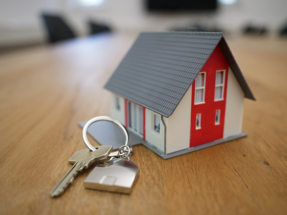 Letting agent showing property